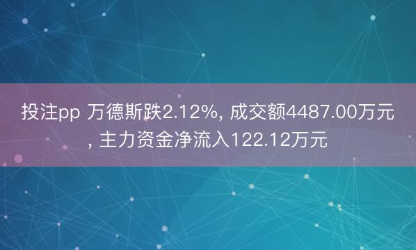 投注pp 万德斯跌2.12%, 成交额4487.00万元, 主力资金净流入122.12万元