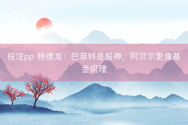 投注pp 杨德龙：巴菲特是股神，阿贝尔更像基金司理