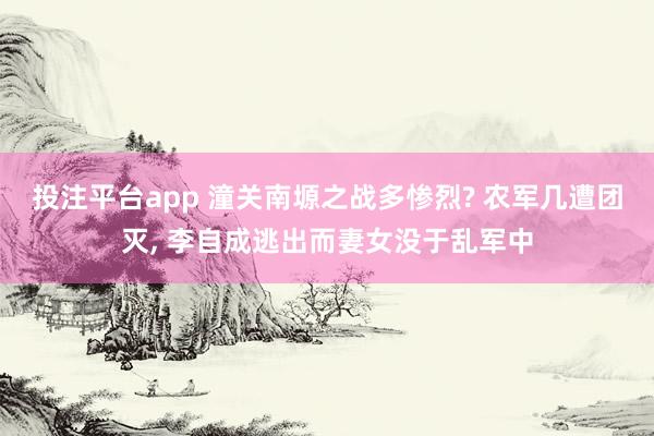 投注平台app 潼关南塬之战多惨烈? 农军几遭团灭， 李自成逃出而妻女没于乱军中