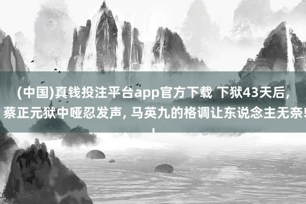 (中国)真钱投注平台app官方下载 下狱43天后， 蔡正元狱中哑忍发声， 马英九的格调让东说念主无奈!