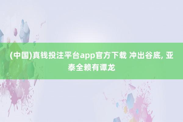 (中国)真钱投注平台app官方下载 冲出谷底， 亚泰全赖有谭龙