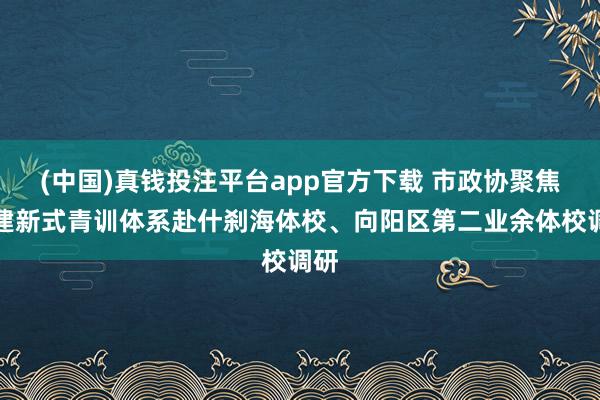(中国)真钱投注平台app官方下载 市政协聚焦构建新式青训体系赴什刹海体校、向阳区第二业余体校调研