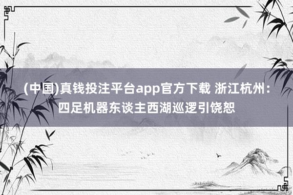 (中国)真钱投注平台app官方下载 浙江杭州：四足机器东谈主西湖巡逻引饶恕
