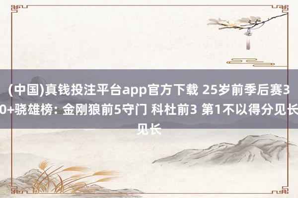 (中国)真钱投注平台app官方下载 25岁前季后赛30+骁雄榜: 金刚狼前5守门 科杜前3 第1不以得分见长