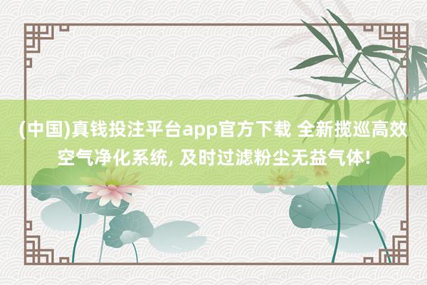 (中国)真钱投注平台app官方下载 全新揽巡高效空气净化系统， 及时过滤粉尘无益气体!