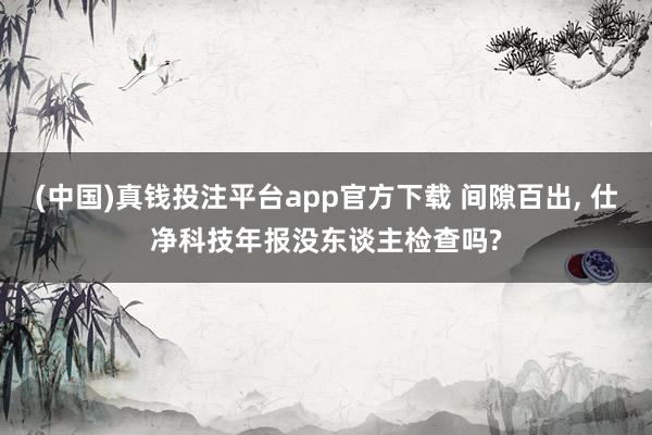 (中国)真钱投注平台app官方下载 间隙百出， 仕净科技年报没东谈主检查吗?