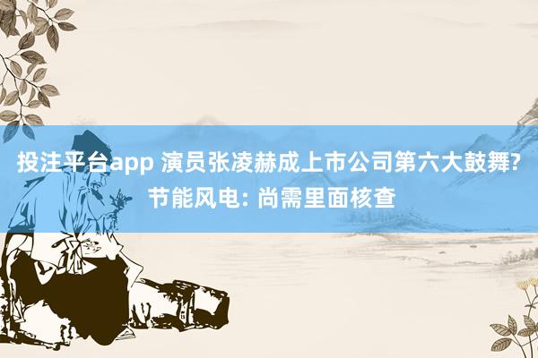 投注平台app 演员张凌赫成上市公司第六大鼓舞? 节能风电: 尚需里面核查