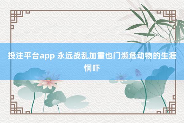 投注平台app 永远战乱加重也门濒危动物的生涯恫吓