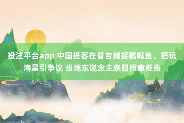 投注平台app 中国搭客在普吉捕捉鹦嘴鱼、把玩海星引争议 当地东说念主条目照章贬责