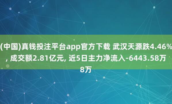 (中国)真钱投注平台app官方下载 武汉天源跌4.46%， 成交额2.81亿元， 近5日主力净流入-6443.58万