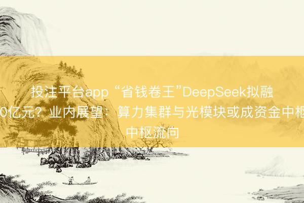 投注平台app “省钱卷王”DeepSeek拟融资500亿元？业内展望：算力集群与光模块或成资金中枢流向