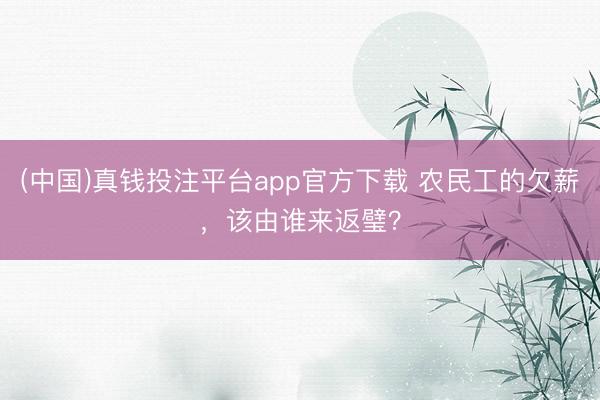 (中国)真钱投注平台app官方下载 农民工的欠薪，该由谁来返璧？