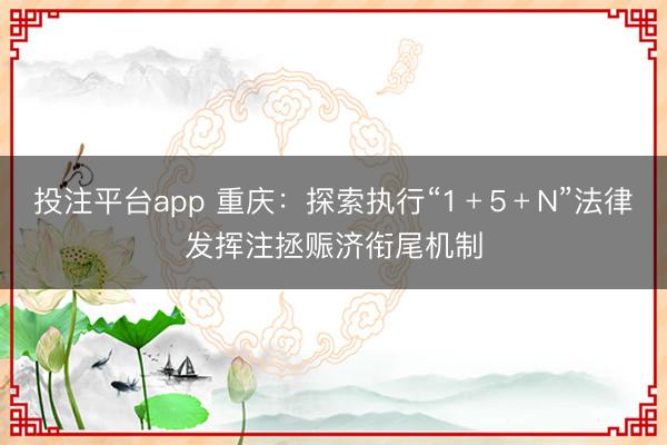 投注平台app 重庆：探索执行“1﹢5﹢N”法律发挥注拯赈济衔尾机制