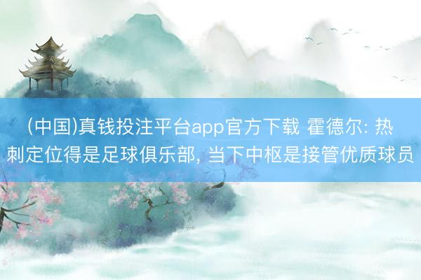(中国)真钱投注平台app官方下载 霍德尔: 热刺定位得是足球俱乐部， 当下中枢是接管优质球员