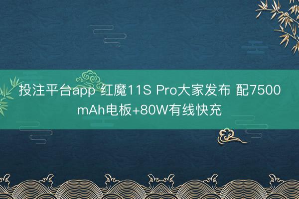 投注平台app 红魔11S Pro大家发布 配7500mAh电板+80W有线快充