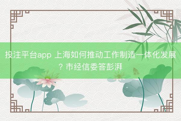 投注平台app 上海如何推动工作制造一体化发展? 市经信委答彭湃
