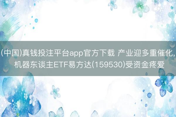 (中国)真钱投注平台app官方下载 产业迎多重催化， 机器东谈主ETF易方达(159530)受资金疼爱