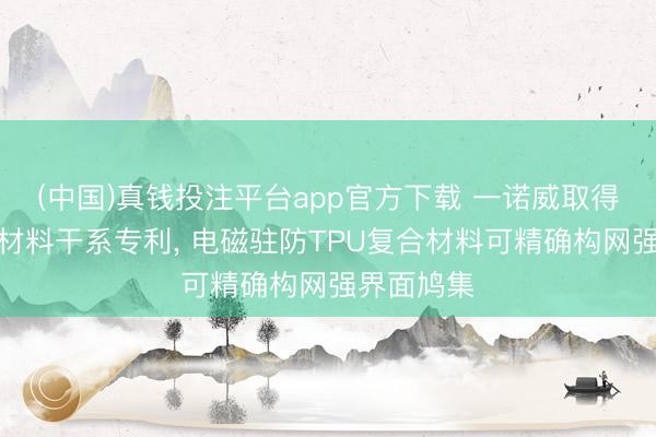 (中国)真钱投注平台app官方下载 一诺威取得电磁驻防材料干系专利， 电磁驻防TPU复合材料可精确构网强界面鸠集