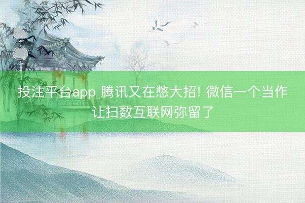 投注平台app 腾讯又在憋大招! 微信一个当作让扫数互联网弥留了