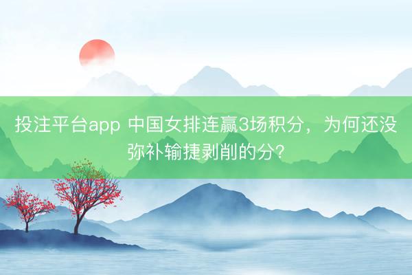 投注平台app 中国女排连赢3场积分，为何还没弥补输捷剥削的分？