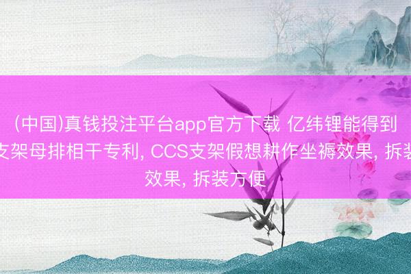 (中国)真钱投注平台app官方下载 亿纬锂能得到CCS支架母排相干专利， CCS支架假想耕作坐褥效果， 拆装方便