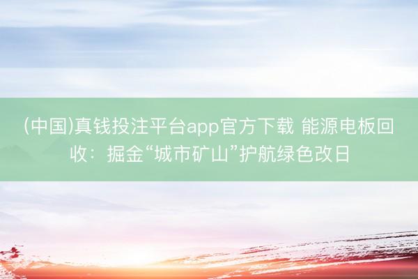 (中国)真钱投注平台app官方下载 能源电板回收：掘金“城市矿山”护航绿色改日