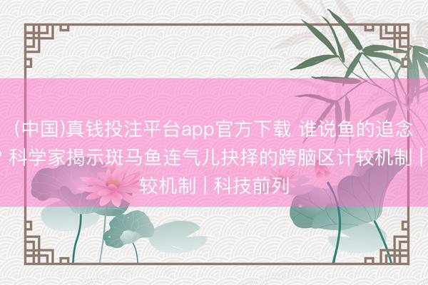 (中国)真钱投注平台app官方下载 谁说鱼的追念只消7秒? 科学家揭示斑马鱼连气儿抉择的跨脑区计较机制 | 科技前列