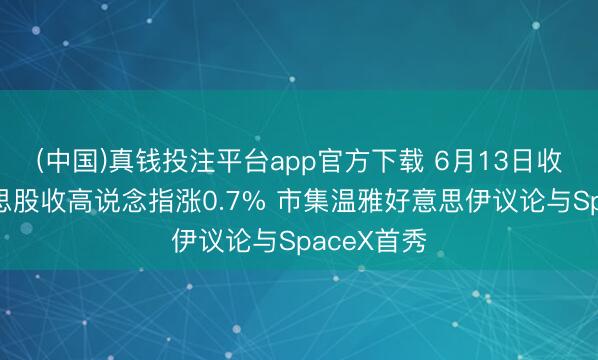 (中国)真钱投注平台app官方下载 6月13日收盘:好意思股收高说念指涨0.7% 市集温雅好意思伊议论与SpaceX首秀
