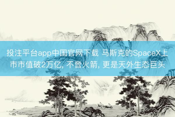 投注平台app中国官网下载 马斯克的SpaceX上市市值破2万亿， 不啻火箭， 更是天外生态巨头