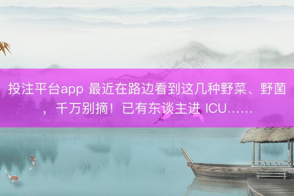 投注平台app 最近在路边看到这几种野菜、野菌,千万别摘!已有东谈主进 ICU……