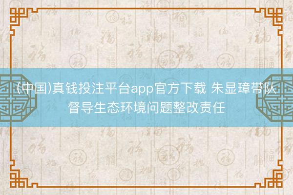 (中国)真钱投注平台app官方下载 朱显璋带队督导生态环境问题整改责任